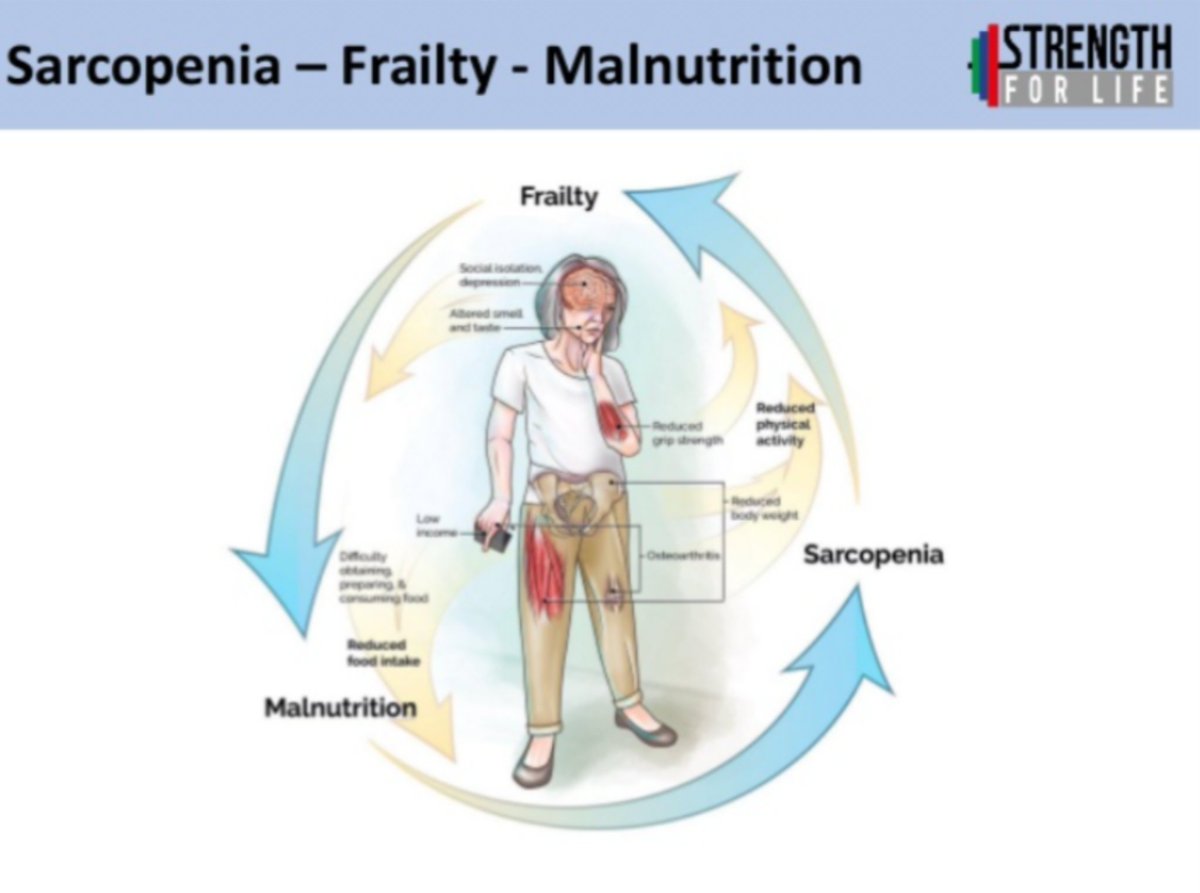 Strength4_Life's tweet image. 📉💪 Deconditioning 💪📉

slideshare.net/hattersley4/de…