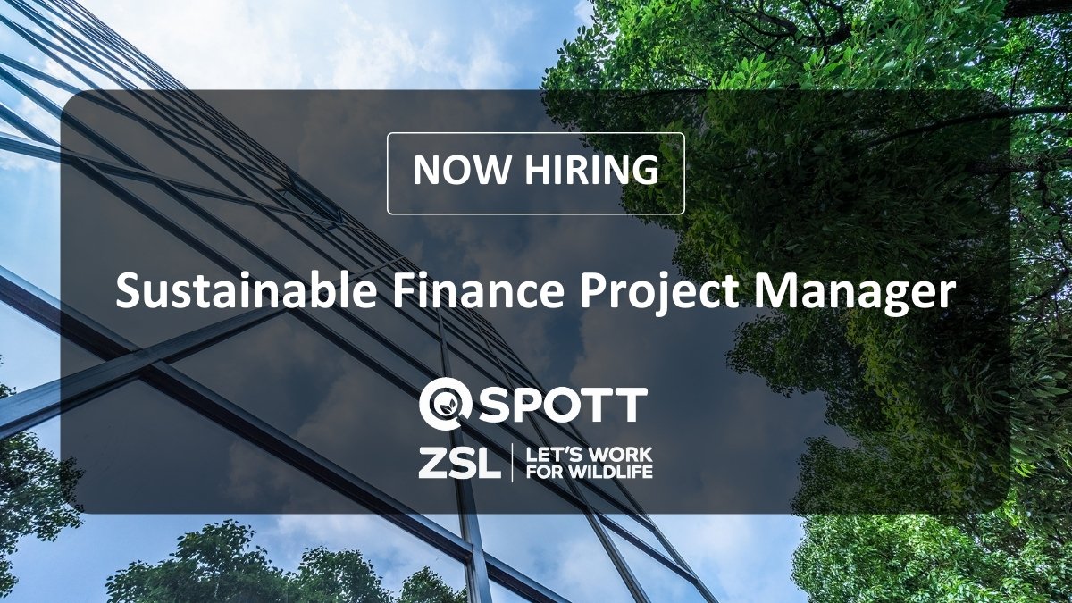 Zsl Spott Zslspott Twitter