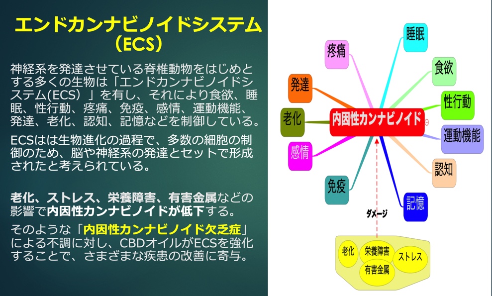 脊椎動物は全てエンドカンナビノイド・システムで恒常性を保っている！
#CBD  #CBDオイル #エンドカンナビノイドシステム #医療  #予防医学 #HiroshiIizuka  #臨床CBDオイル研究会 #発達障害 #自己免疫疾患 #片頭痛 #高血圧 #ペット #CBD_臨床CBDオイル研究会 #CBD認定アドバイザー講座 #飯塚浩