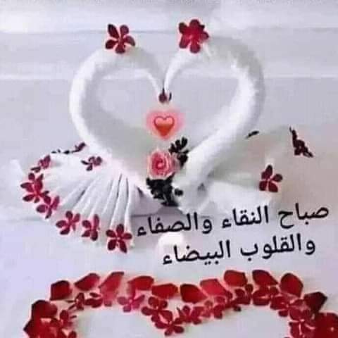 الأب فادي سركسيان (@aliifade) on Twitter photo 