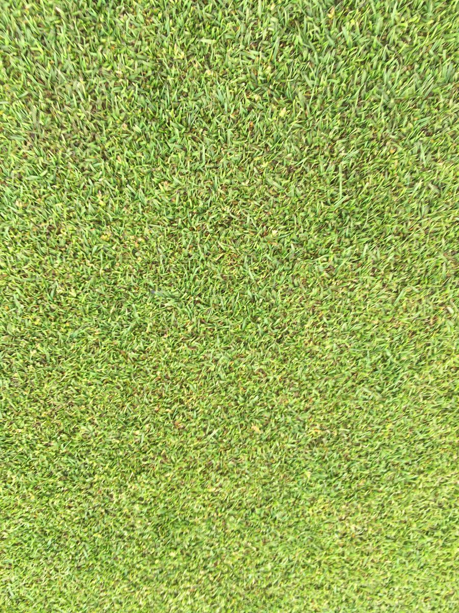 East Devon Golf Club tweet media