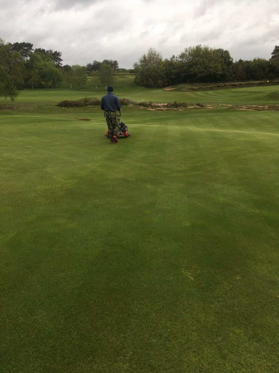 East Devon Golf Club tweet media