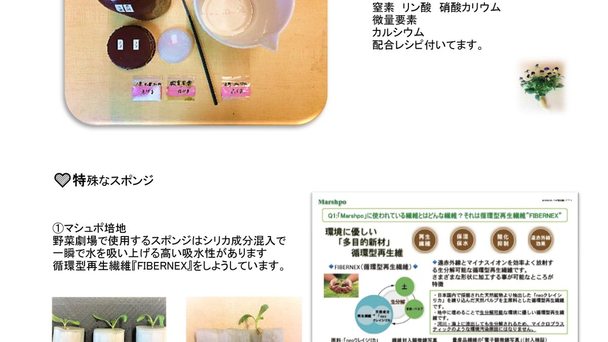 ima831's tweet photo. おうち時間でミニ野菜を作ろう。 https://t.co/pOUlLassDo