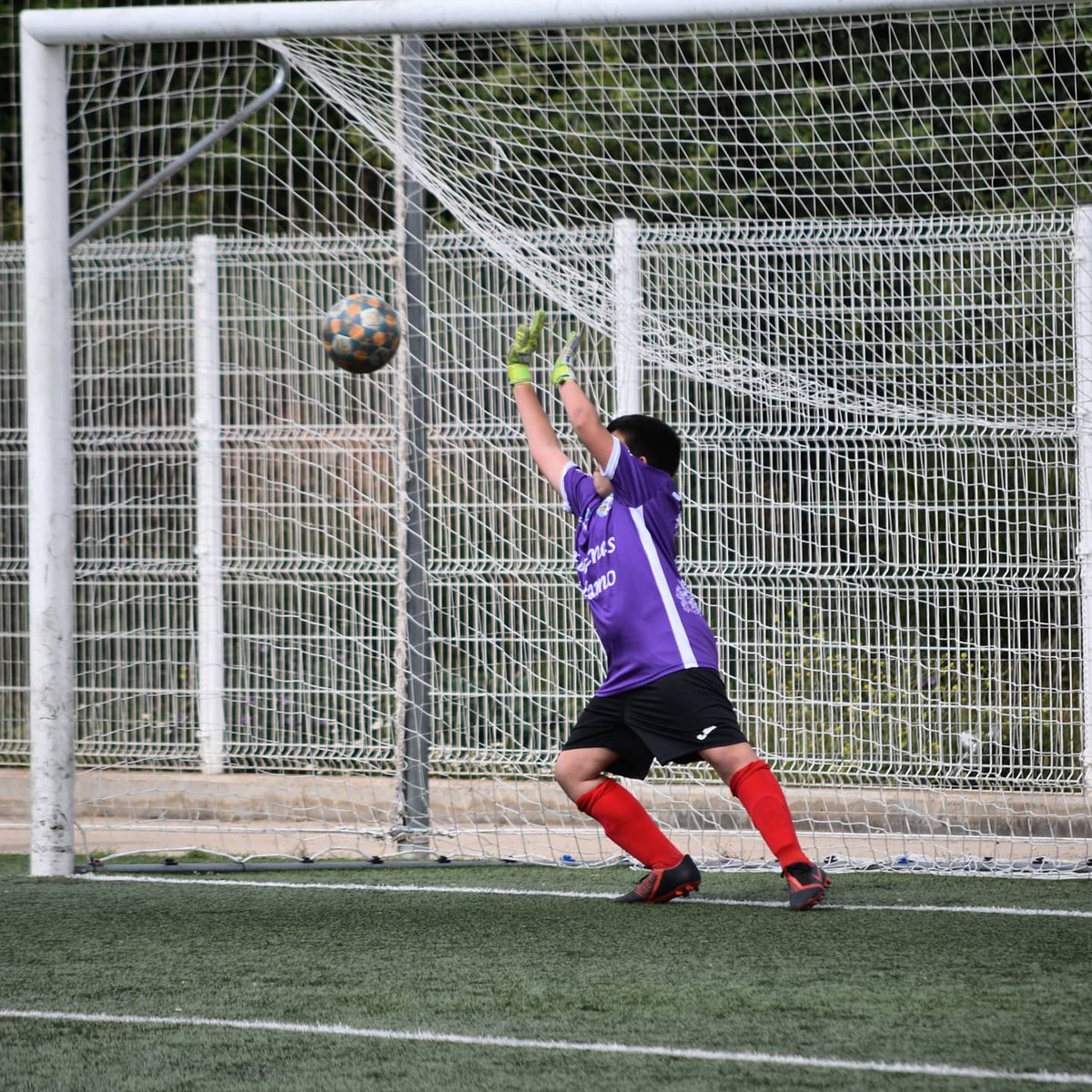 UE Planadeu Roureda tweet media