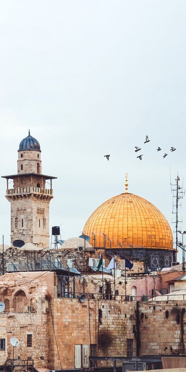 31_athar's tweet photo. #فلسطين_تنتصر #غزة_تنتصر #غزة_تنتصر_للقدس #خلفيات #خلفية #صور #صورة #خلفيات_ايفون #خلفياتhd #خلفيات_آذار #Wallpapers #wallpaper 🤍🇵🇸🇸🇦 https://t.co/NLxigEbyOb