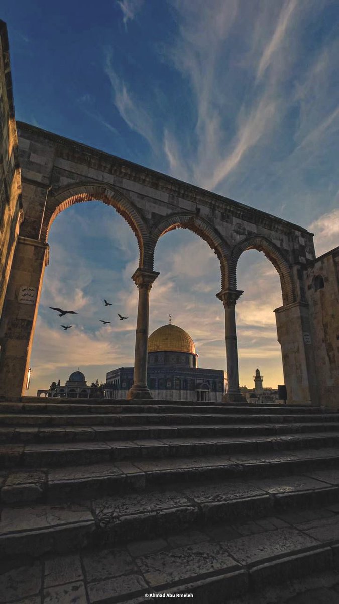 31_athar's tweet photo. #فلسطين_تنتصر #غزة_تنتصر #غزة_تنتصر_للقدس #خلفيات #خلفية #صور #صورة #خلفيات_ايفون #خلفياتhd #خلفيات_آذار #Wallpapers #wallpaper 🤍🇵🇸🇸🇦 https://t.co/NLxigEbyOb