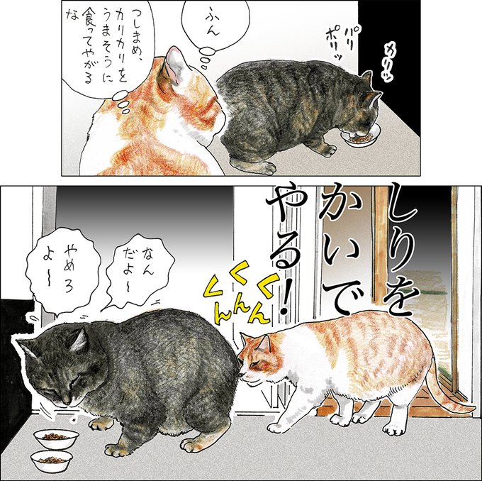 や、どうも。おひさしぶりですよ。
スカっとしない、おてんきがつづくね。
らいげつ発ばいの俺のハンブック(『俺、つしまBOOK』)は、ニンゲンどもがえーいせいさくちゅうだよ。
おたのしみに。 