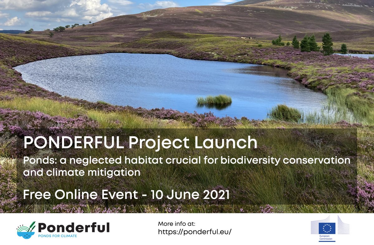 ponds4climate's tweet photo. PONDERFUL is bringing new understanding of the practical role of a critical freshwater habitat: ponds. If you're involved in water management and aquatic conservation in urban and rural landscapes #PONDERFUL will be of interest to you. 
Sign up for free:
https://t.co/zKBeCl8pP6. https://t.co/I1pFAGFn4A