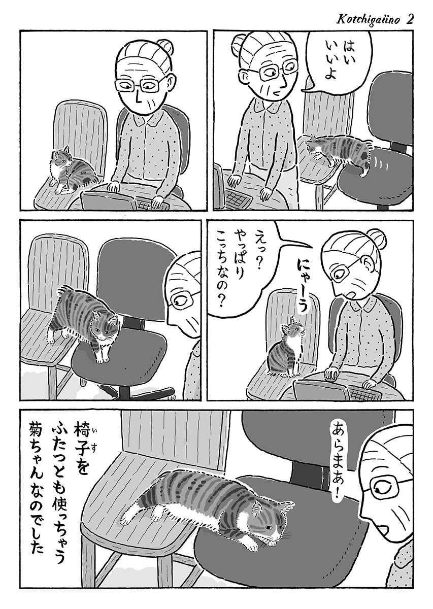 2ページ猫漫画「こっちがいいの」 #猫の菊ちゃん 