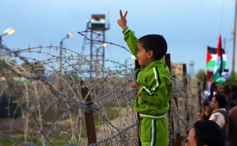 Dr.Zawba tweet media