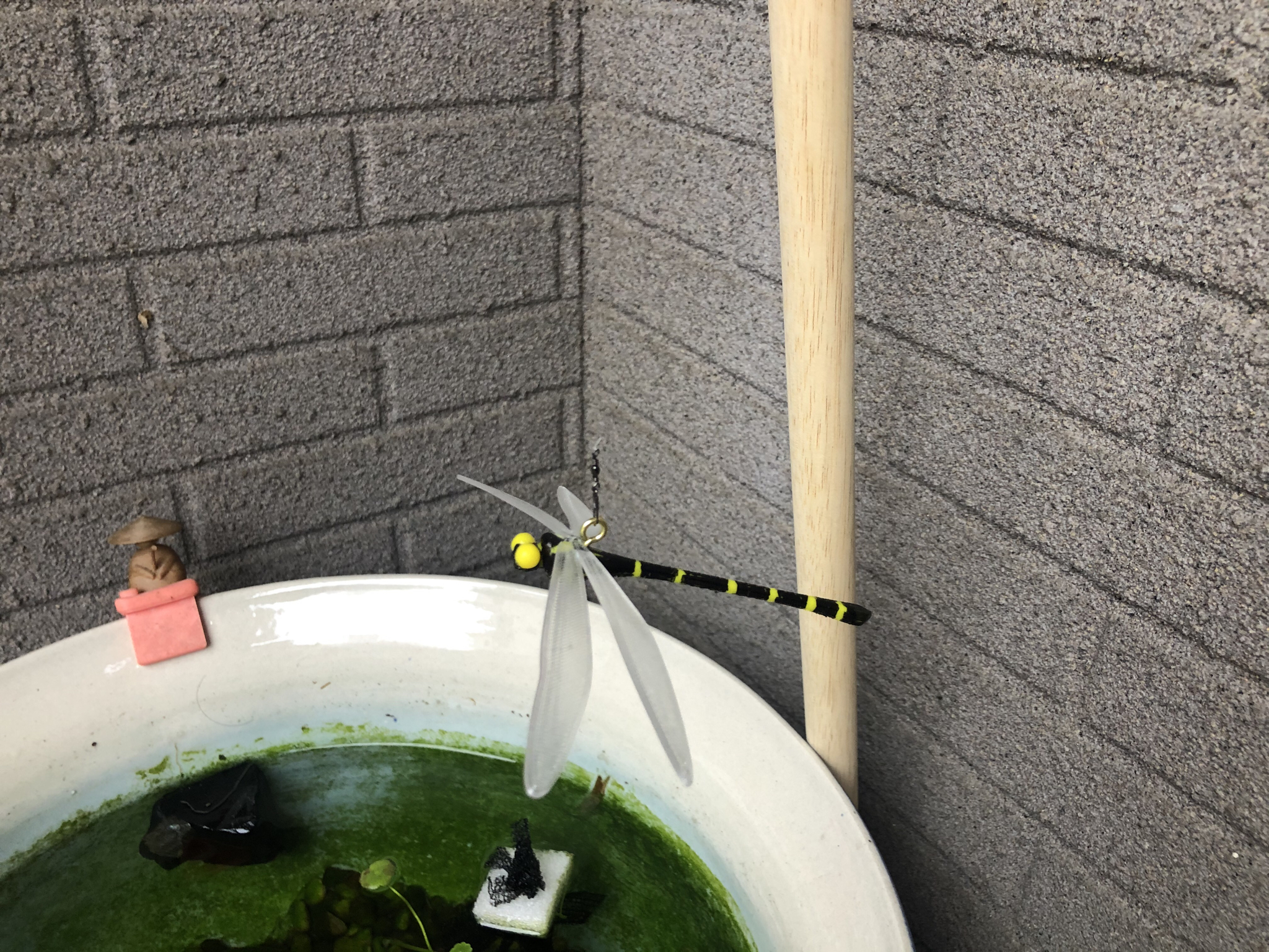 Moyashi Tomy Cn ありがとう Twitter