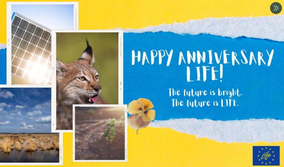 Life4MarPiccolo tweet media