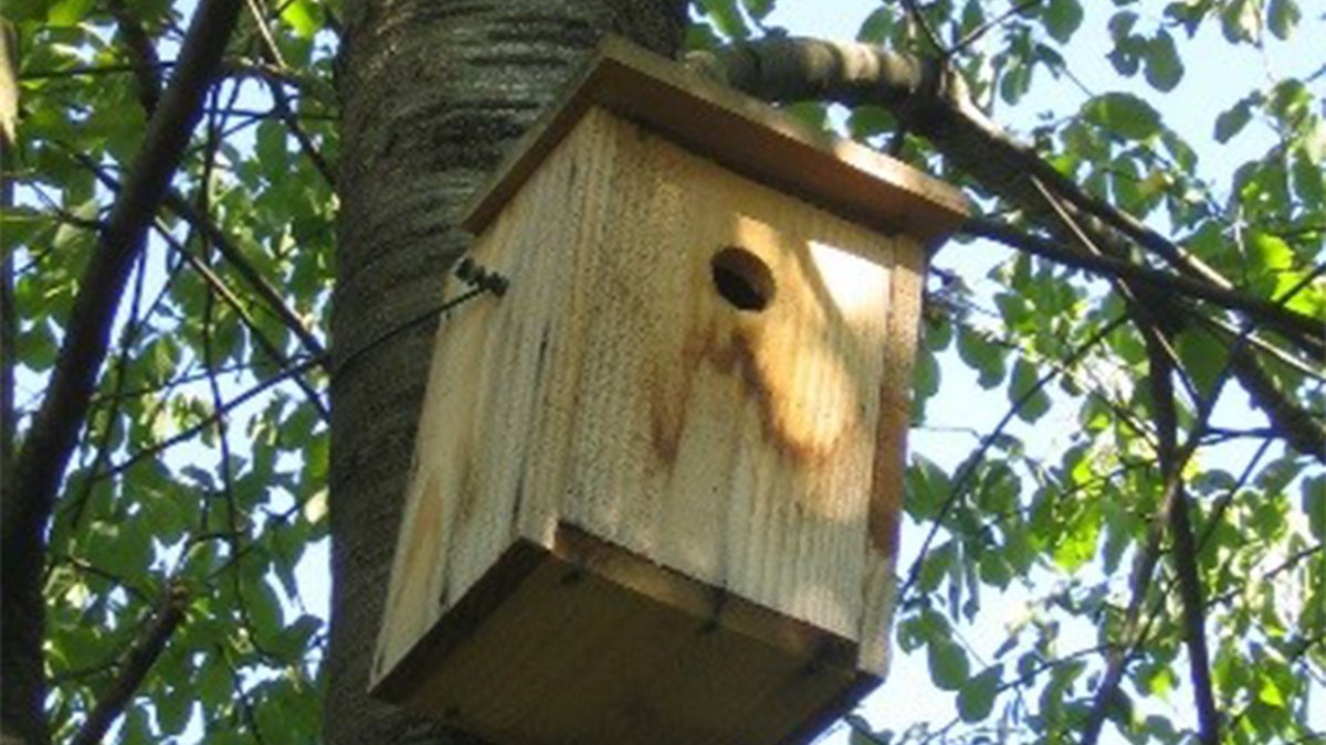 Mairie5Lyon's tweet photo. 🌳🐦Habitant-es ou entreprises du quartier #Champvert, vous souhaitez agir en faveur de la #biodiversite ?
Participez à une visioconférence le 27/05 à 18h de la @LPO_auv_rhonalp et devenez ambassadeur de la nature en ville !
▶️Lien de la visioconférence : https://t.co/8zqgC5a0CR https://t.co/GIYVhxvDbd