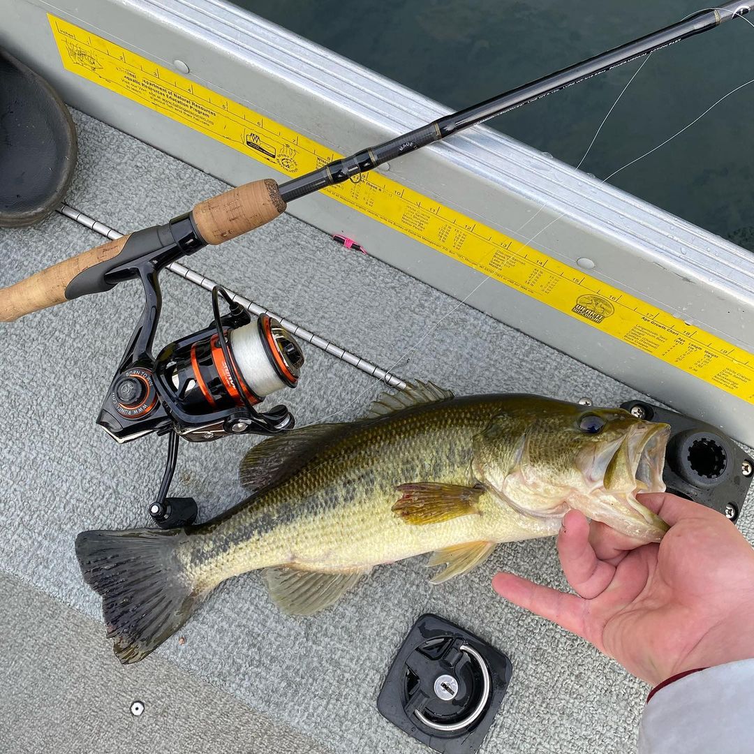 Another nice catch from @sahmdawson11, using his #Rushmore #spinningreel.
You can't go wrong with this reel: runcl.com/products/runcl…
-
#fishing #fishingreel #runcl #bassfishing #largemouthbass #boatfishing