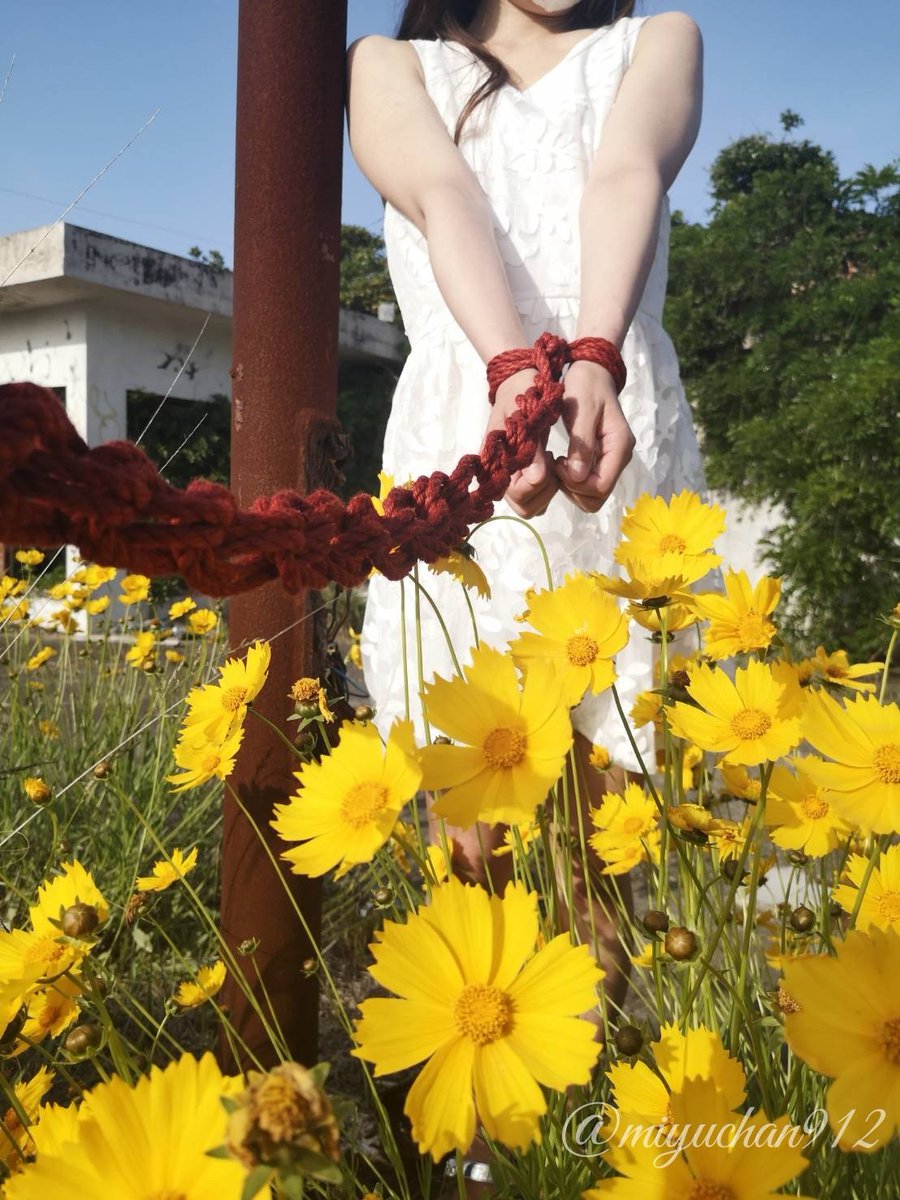 お散歩に連れてきてもらいました。
お花がキレイだな…