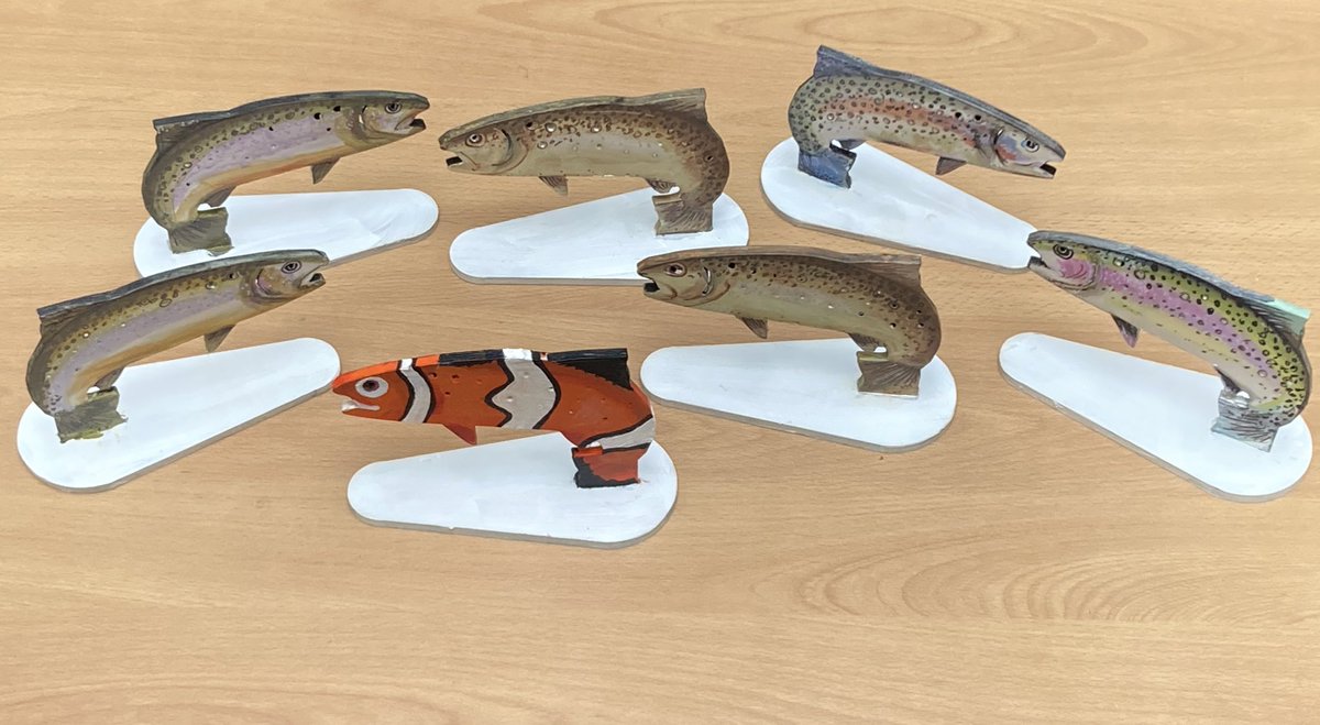 BWS Fishing tweet media