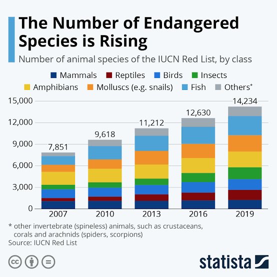 KishorePrabhala's tweet photo. More than have human population have no #kindness or #compassion towards #animals because they need to eat #meat every day
Hundreds of animal factories kill millions a day and meat available at grocery stores so #endager million #EndangeredSpeciesDay https://t.co/3z594XjQMJ