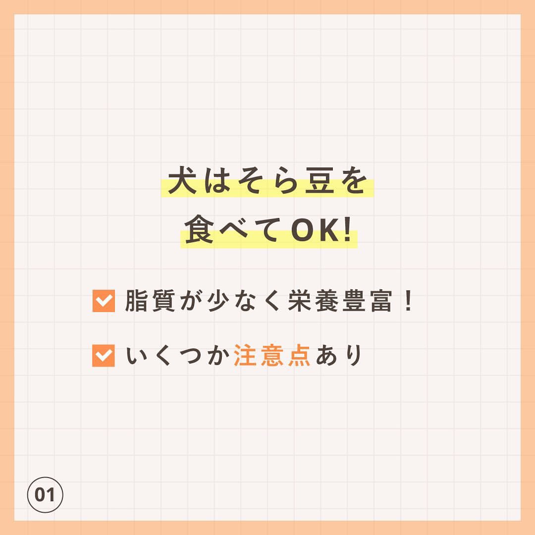 ペトコトフーズ 人も食べられるフレッシュドッグフード 犬はそら豆を食べてもいい 1 3