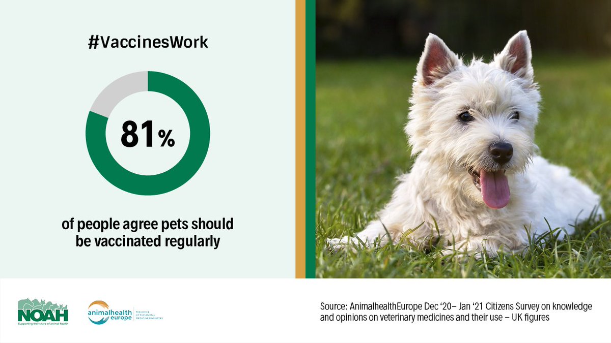 #DYK that vaccination protects the health and wellbeing of our pets, stopping suffering that preventable #diseases can cause  #VaccinesWork #AnimalHealthMatters