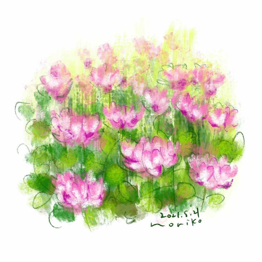 のりこ Chinese Milk Vetch レンゲソウ レンゲ草 蓮華草 レンゲ Chinesemilkvetch 花 Flowers Akane Art イラスト Illustration Drawing Art Painting Procreate 一日一絵 Onesktchaday Onedrawingaday 365drawings