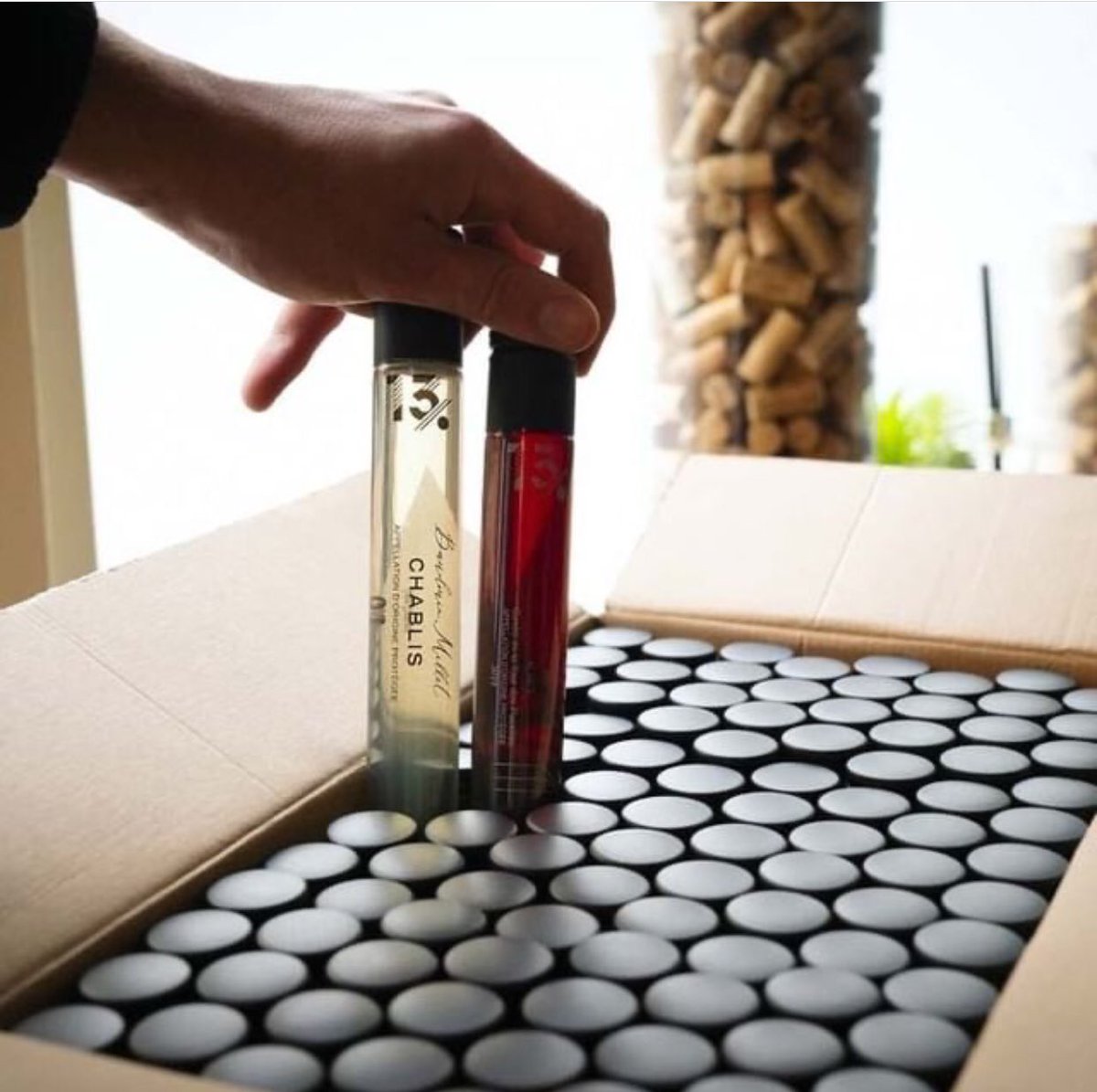 De nos tubes à nos boîtes, en passant par nos notes de dégustation : tout ce que nous proposons est fait de matériaux #recyclés et recyclables à 100 %.

#greenwine #vinvert