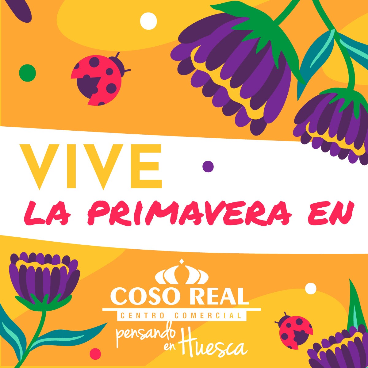 Vive, Siente y Disfruta la #primavera en los comercios y restaurantes del #CentroComercialCosoReal. 🌷🌼

Ven a comprar, comer o pasear, disponemos de parking 🚗 para tu comodidad. ¡Te esperamos!

#CosoReal #ComercioHuesca #Huesca #TiendasHuesca #CompraEnHuesca