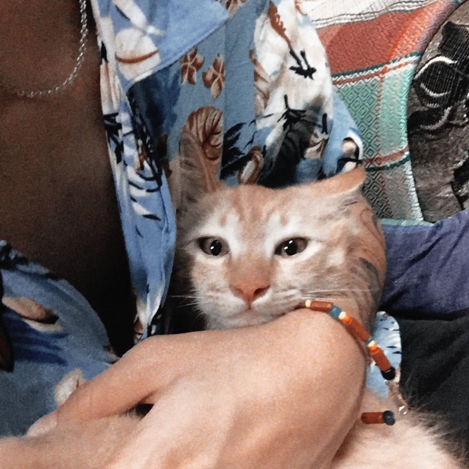 blueainturcolor's tweet photo. My wild boah ♡ https://t.co/6mfBoIP22K