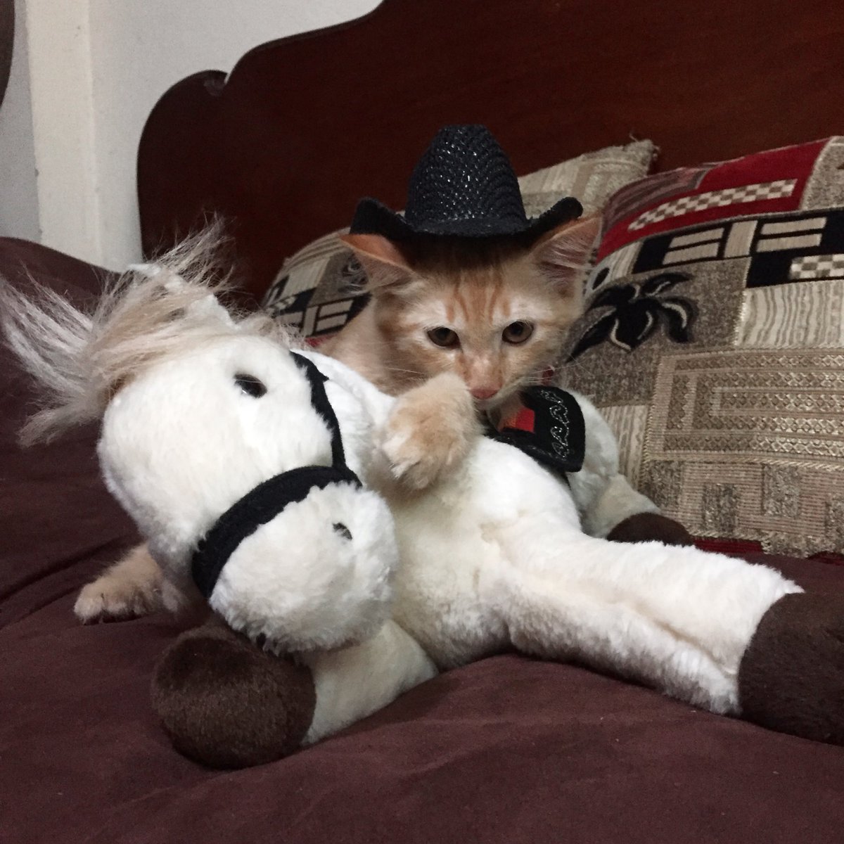 blueainturcolor's tweet photo. My wild boah ♡ https://t.co/6mfBoIP22K