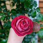 見た目は完全に薔薇!？山形県のあつみ温泉街にあるバラ園の薔薇型アイス!