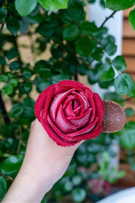 アイスの薔薇 Snsで話題の薔薇のアイスが味わえるのはローズガーデンカフェ 山形県鶴岡市 やまがたぐらし