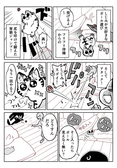 天道グミ Kawakimon さんのマンガ一覧 ツイコミ 仮 天道グミ Kawakimon さんのマンガ一覧 ツイコミ 仮
