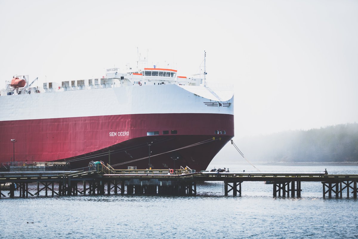 karliaa_b's tweet image. @SiemCarCarriers MV CICERO Vehicles Carrier resting in the fog, at the @portofhalifax Halifax Auto Port in Shearwater, Nova Scotia 🇨🇦 
#ShipSpotting #ShipSpotter #VehiclesCarrier