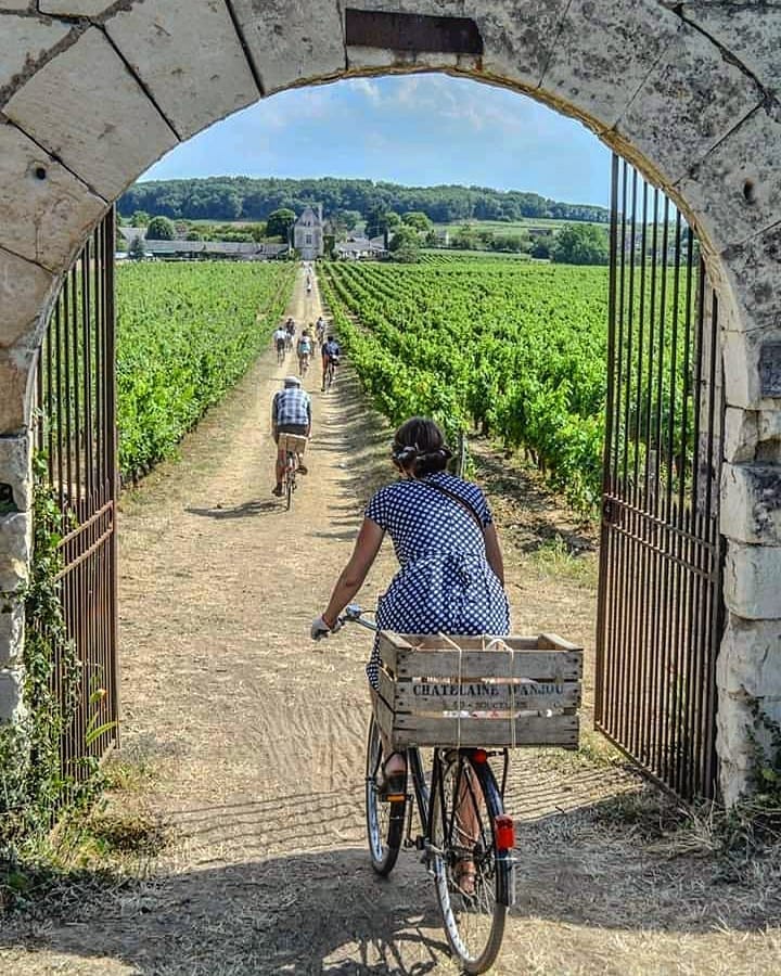 Vins du Val de Loire tweet media