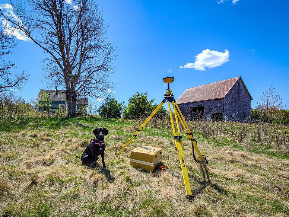 DesignPointEng's tweet image. Happy Friday from our favourite survey assistant, Elli 🐶