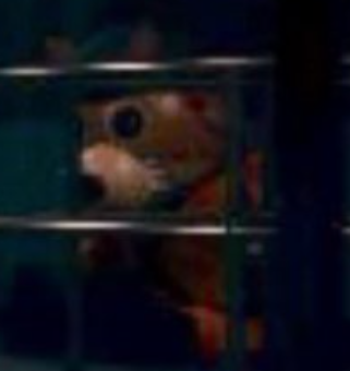 datguynamedpup1's tweet photo. @XanderDrew3 @DaRealMiniToon sqiggily squirrel https://t.co/yeeRKPzX5a