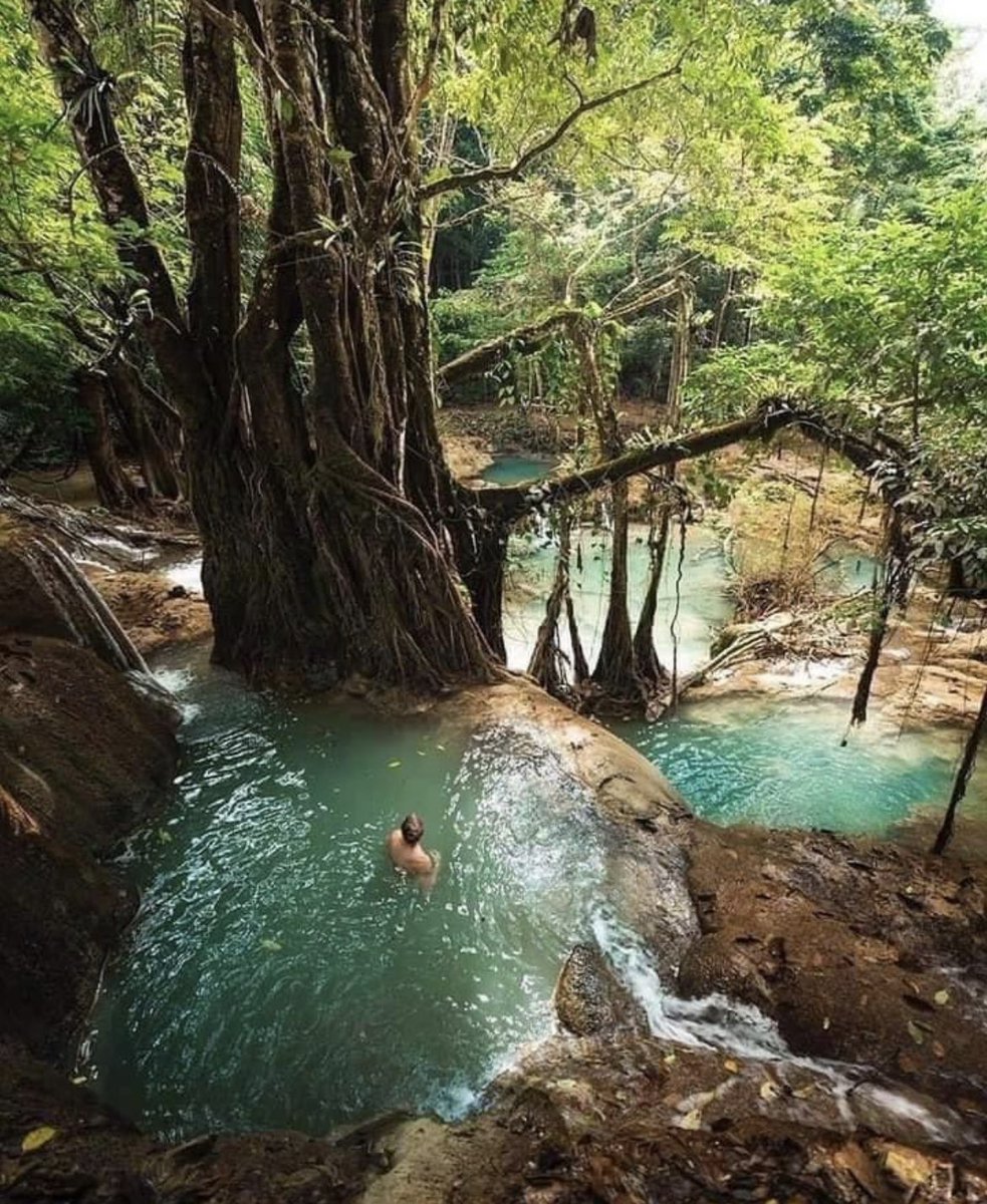 space_treasure8's tweet photo. A Natural Swimming Pool Between the
🌳Unique Trees🌳 in Turkey Forest  🇹🇷 https://t.co/qNdR6zdoqt