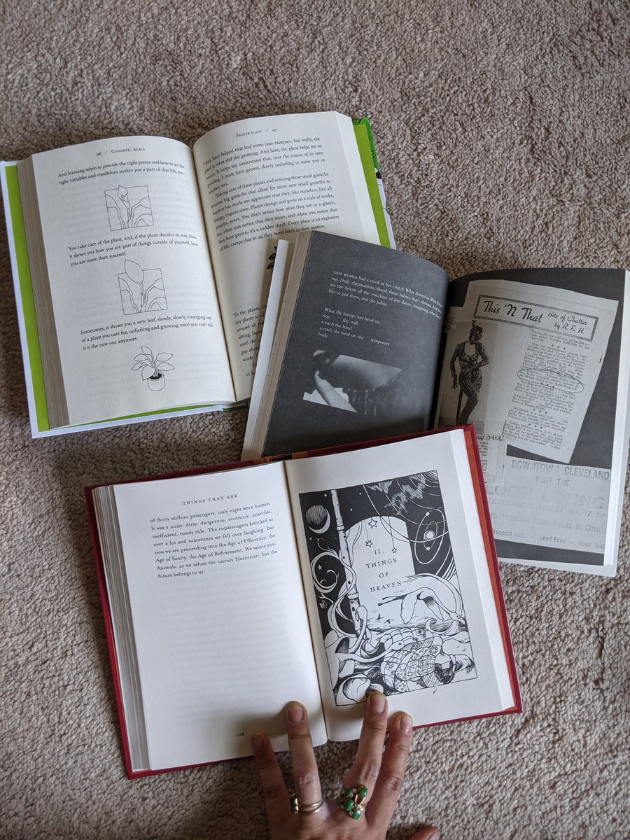 jaminlin's tweet photo. look at these stunners: Goodbye, Again by Jonny Sun (@jonnysun / @HarperPerennial), You Animal Machine by #ElenaSikelianos (@Coffee_House_ ), and Things That Are by #AmyLeach (@Milkweed_Books ) 4/ https://t.co/wWNKI0WPRA