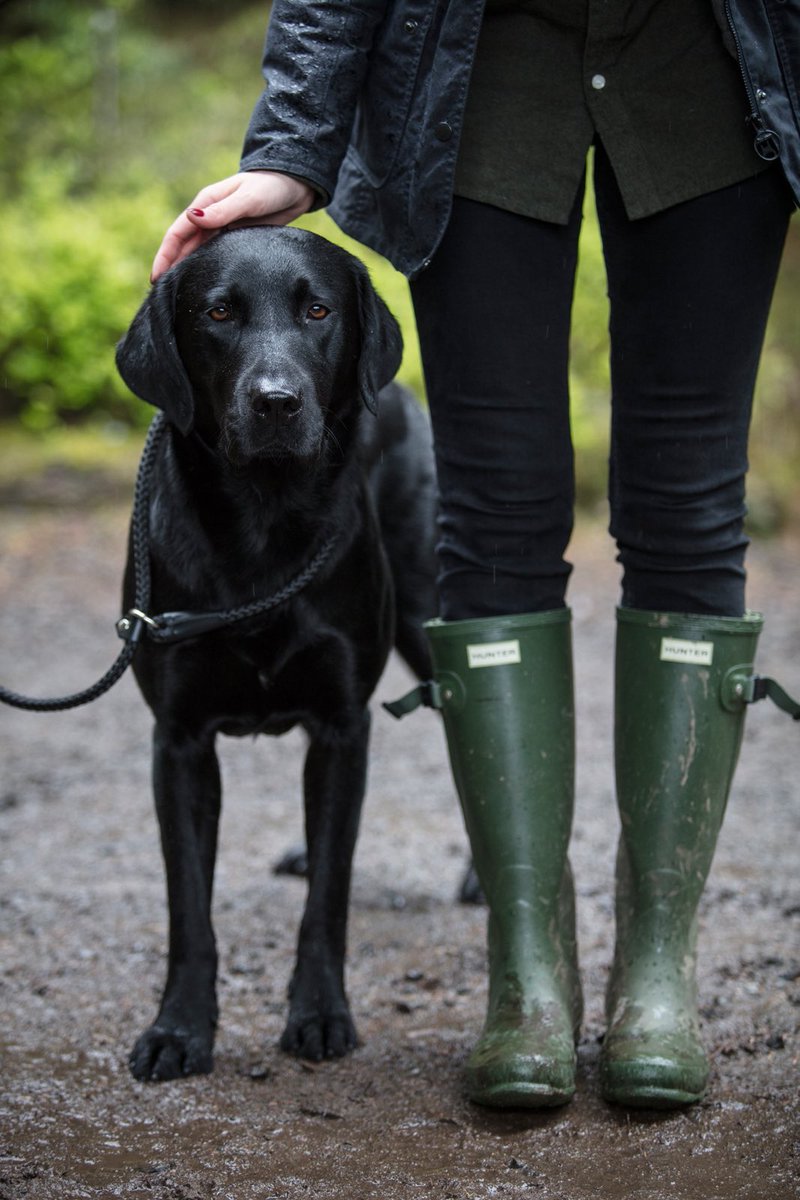 With 850 acres to explore and our walking partner in tow, 🐶☔️we are heading out on the Westerly Wander - one of our Trail Yard walking routes - in search of muddy puddles and local wildlife! 🐿🍃#LoveGlen