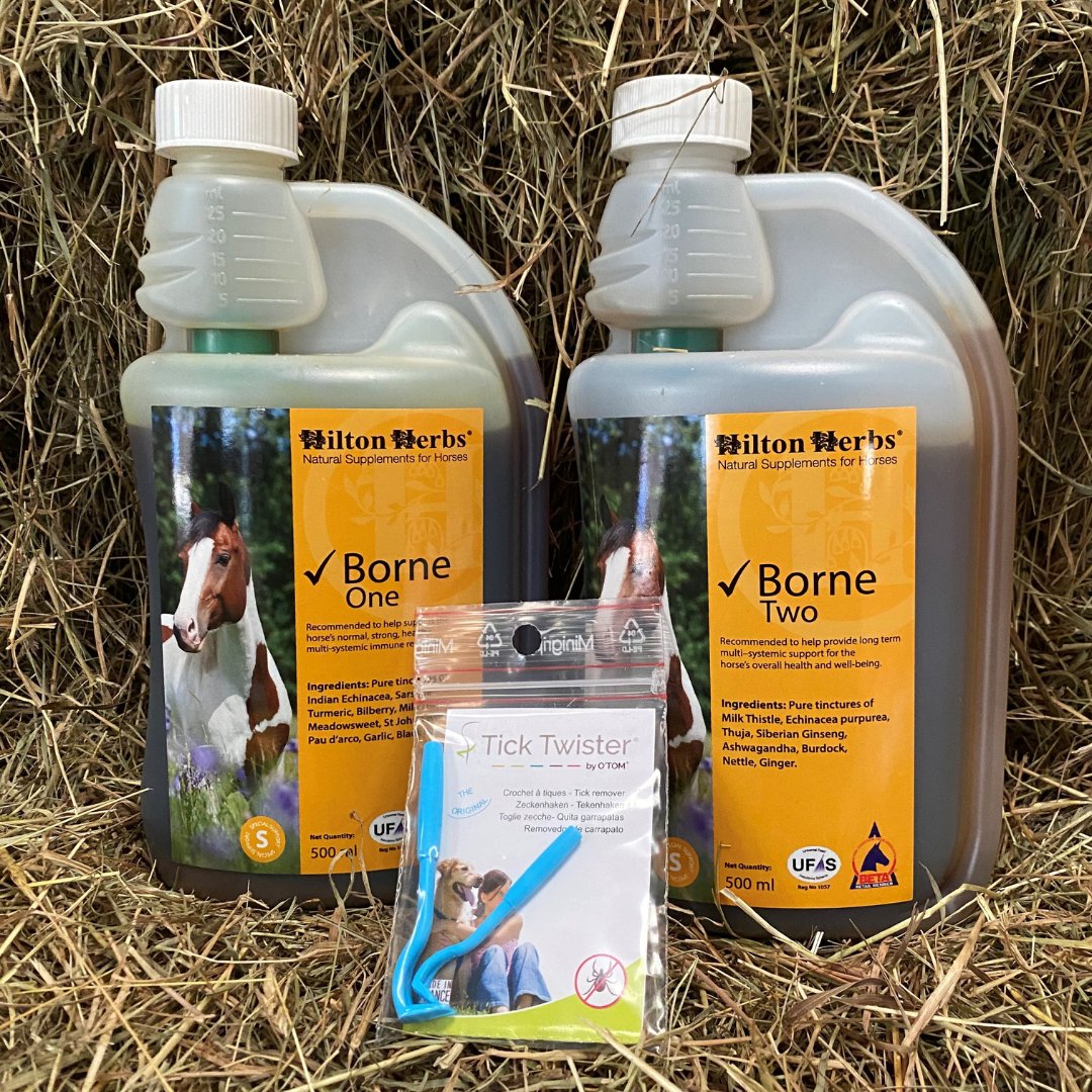 Friday focus: ✔️ Borne 1 &amp; ✔️ Borne 2 - long term multi-systemic support 🌿

In line with our Tick awareness month, these two products are on special offer as a duo! Plus, you get a free tick twister too. 

Shop duo now > hubs.la/H0NRWJZ0

#hiltonherbs #hiltonherbsuk