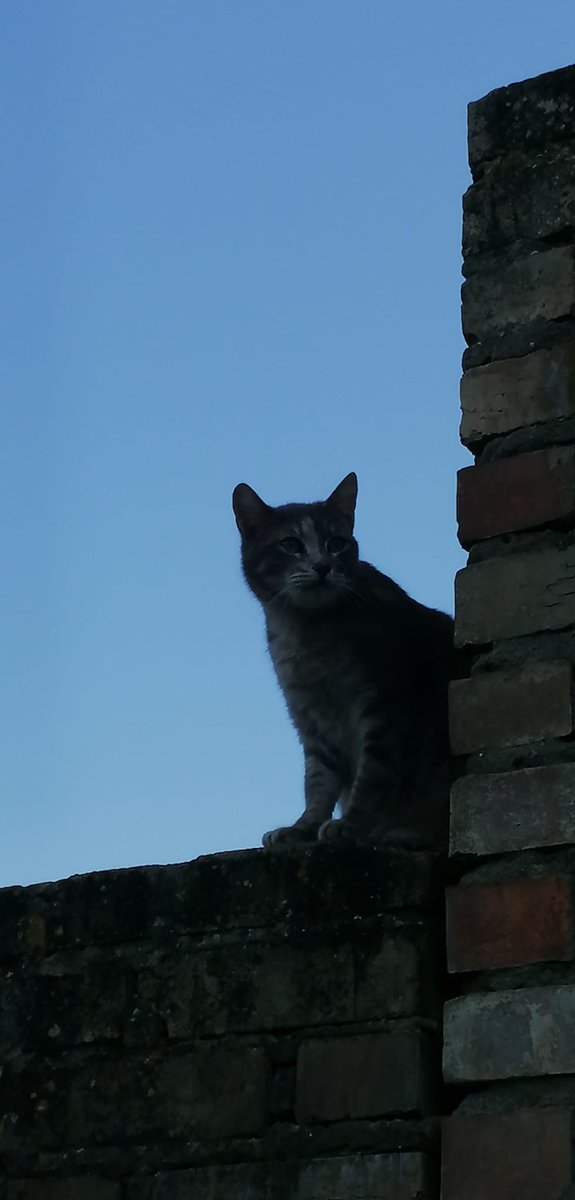 Recordad que con un solo euro o dólar ayudáis un montón a estos pequeños