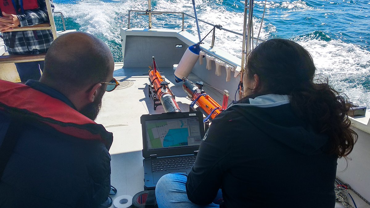 lstsfeup's tweet photo. On the #EuropeanDayOfParks, learn about #OMARE, the project that aims to assess the biodiversity of the North-Littoral Natural Park, in the coast of Esposende, in Portugal.
https://t.co/tIElmHecGx https://t.co/abejfnkcfI