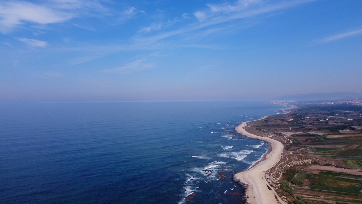 lstsfeup's tweet photo. On the #EuropeanDayOfParks, learn about #OMARE, the project that aims to assess the biodiversity of the North-Littoral Natural Park, in the coast of Esposende, in Portugal.
https://t.co/tIElmHecGx https://t.co/abejfnkcfI