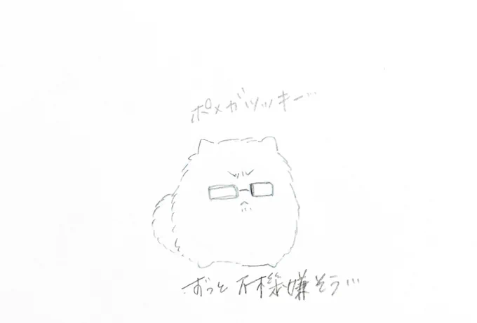 こういうことか?(🌙ポメと愉快な第3体育館組) 