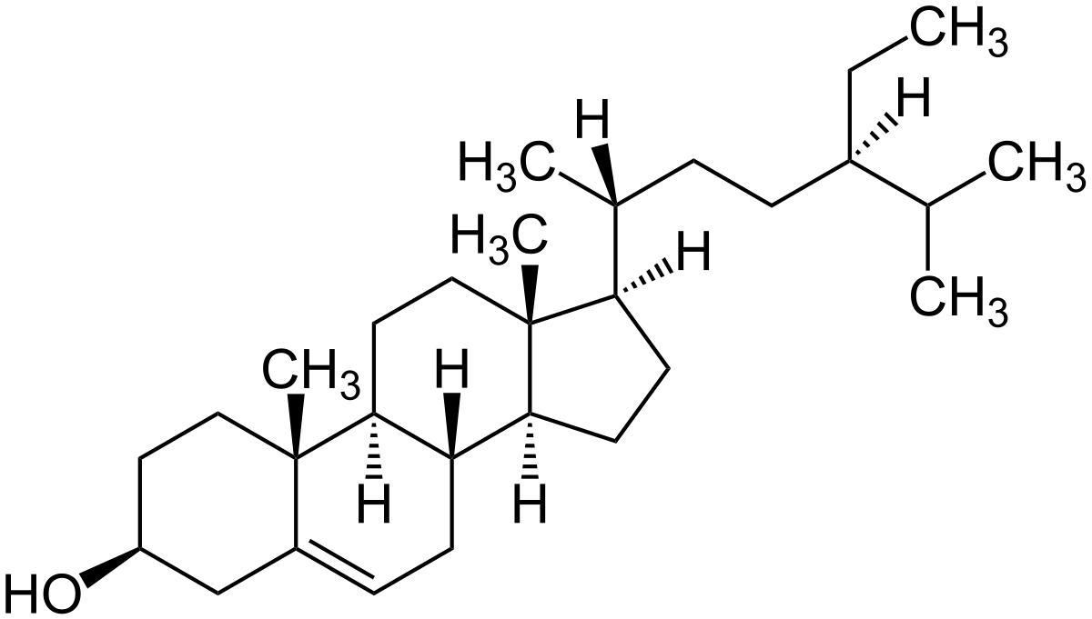 prostateformula's tweet image. Can Beta Sitosterol Shrink the Prostate? bit.ly/3wCliYr

#BetaSitosterol #Prostate