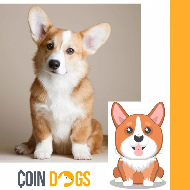 CoinDogs's tweet image. Do you wanna own a dog but can't afford it right now? Take a virtual one 😉🐩

Create your favorite breed with CoinDogs 🐶

🖱 coindogs.com/?utm_source=tw…

#coindogs #cdogs_news #virtualdog #dogracing #gamer #onlinegame #game #race #doggame #dogbreed