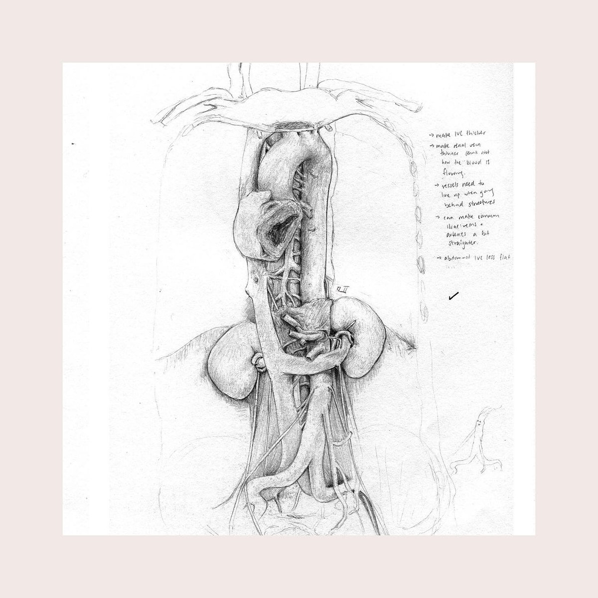 Specimen sketches referenced from Grant’s Museum | 2019 

#anatomy #medicalillustration #jugubiovis
