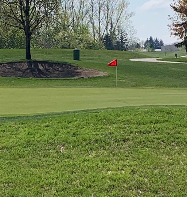 #Beautiful Day to #play a round of #golf. #BookYourTeeTime #FargoGolf #RoseCreek <a href="/creekside64/">Matt Cook</a>