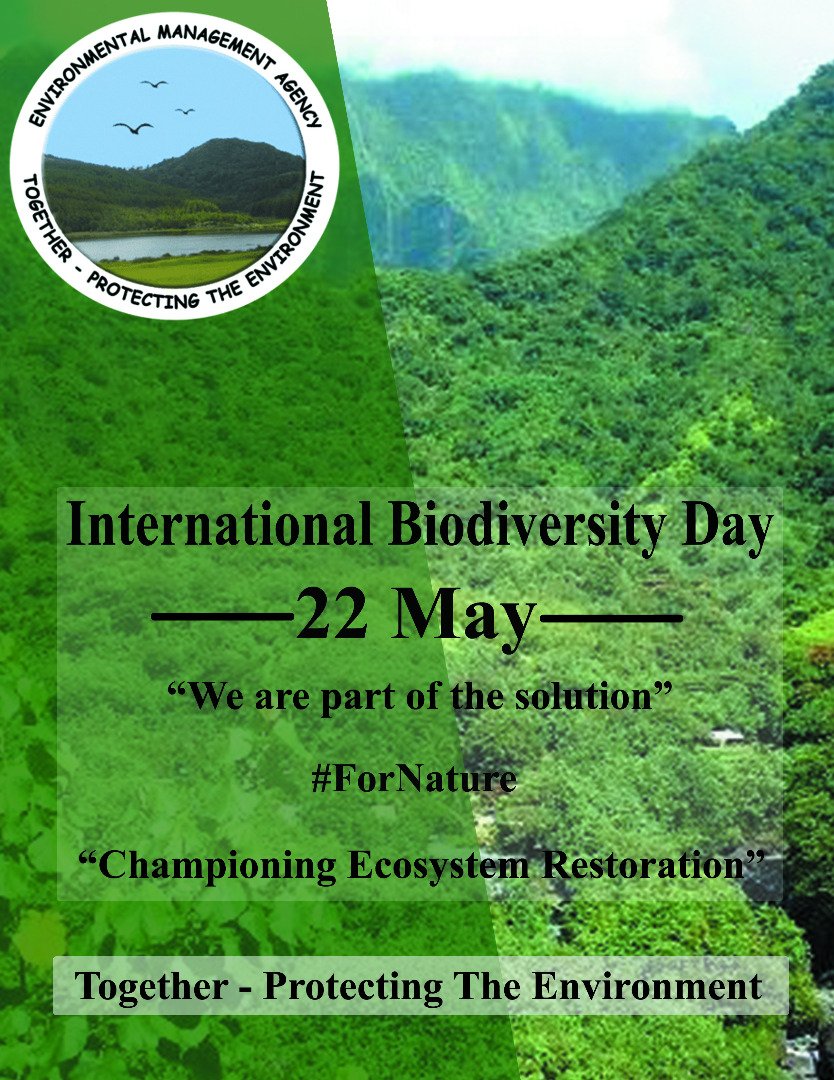 E.M.A (@emaeep) on Twitter photo 