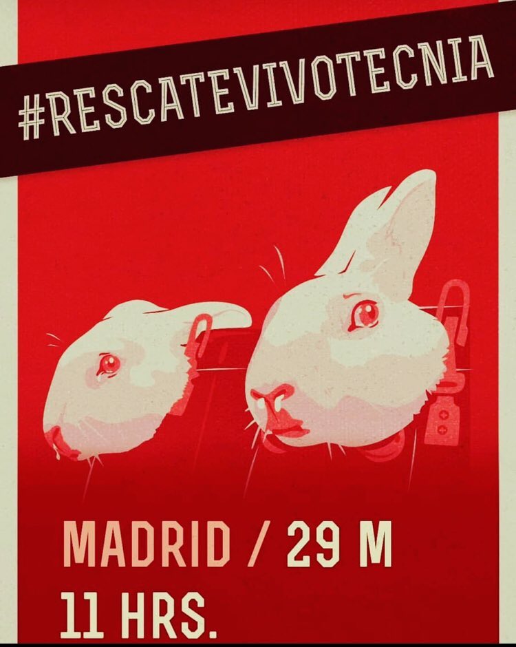RIBERABA's tweet photo. 📢🔔🚨 ‼No podemos fallarles 🐾‼ 🚨🔔🔊

🙌MANIFESTACIÓN🙌 para el #RescateVivotecnia:
🔰
📆 Mañana SÁBADO,
29 de Mayo

⏰ 11 H.

🚩#Madrid

Convocan:
@AnimaNaturalis
@PartidoPACMA
@LiberaONG
@FAADAorg
@ffw_es
@plataforma_NAC
y ‼much@s ➕‼

ℹ aquí:
https://t.co/kS8BU6Ihob https://t.co/TEH5AOrVKY