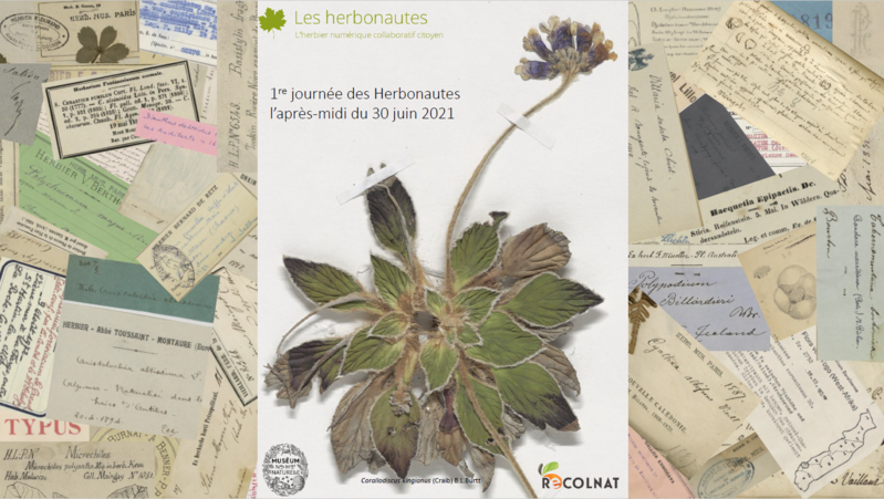 RECOLNAT tweet media